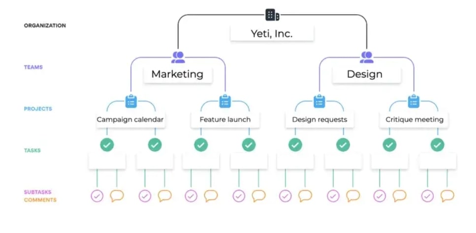 Asana Setup