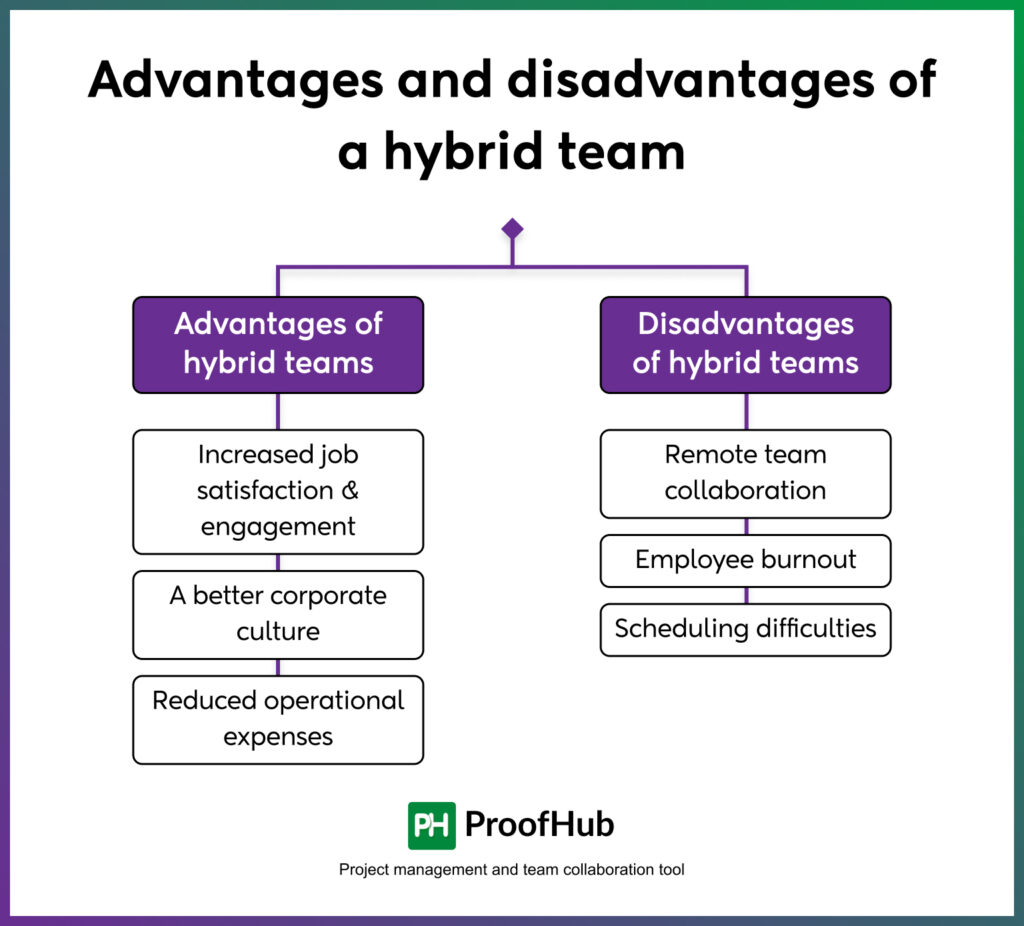 Advantages and disadvantages of a hybrid team