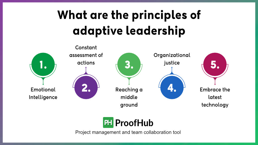 What are the principles of adaptive leadership