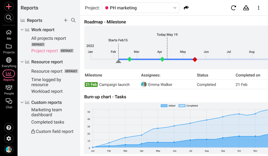 Track project milestones and progress